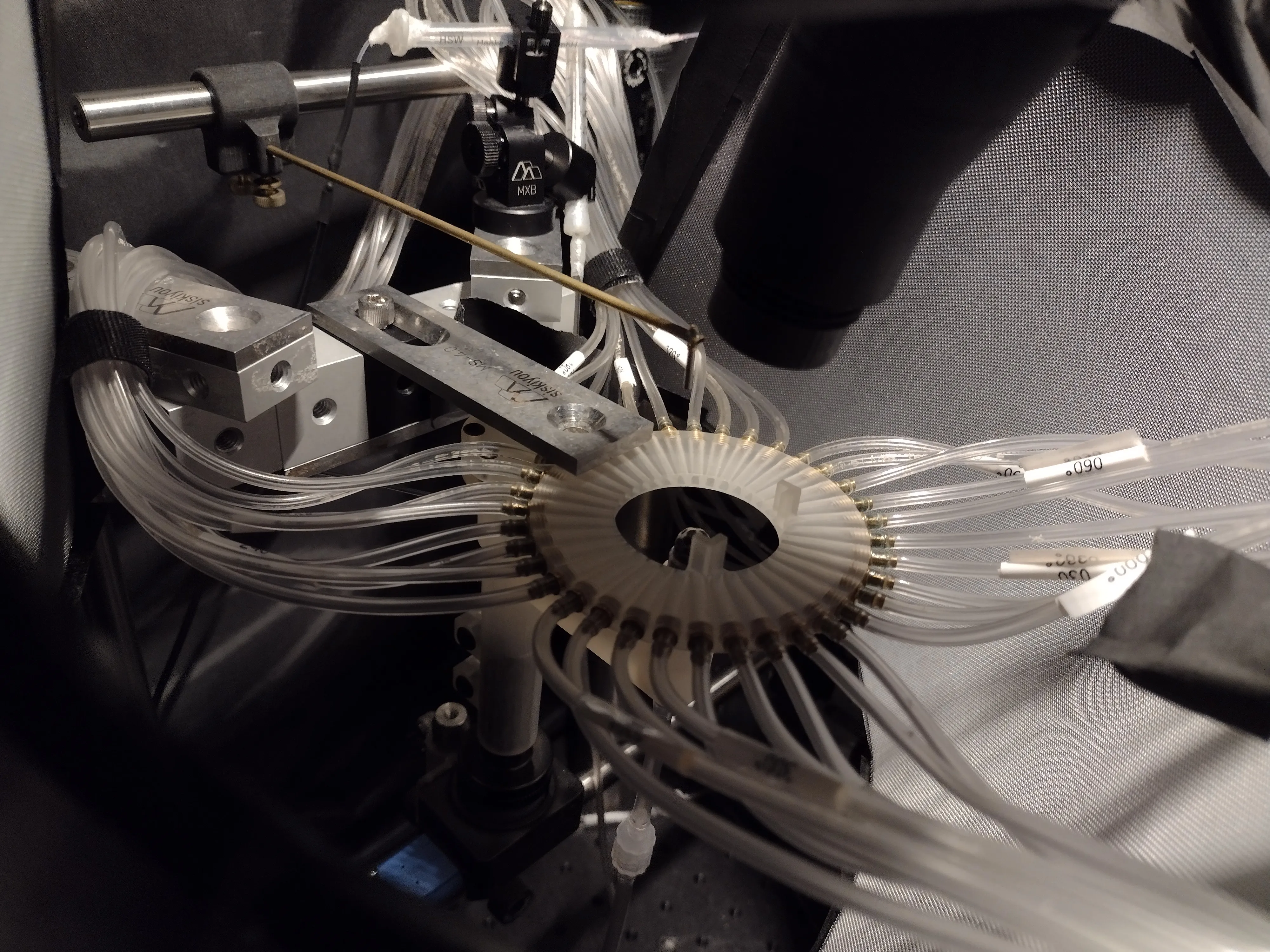 Ring of 36 output tubes around the fly's position in the rig